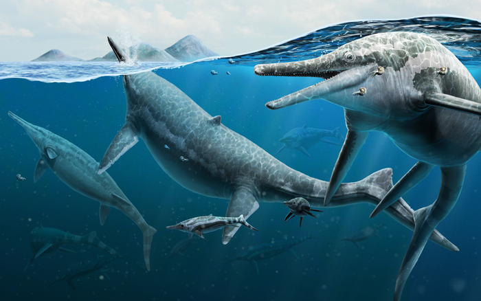 Ichthyosaur graveyard may be an ancient birthing ground