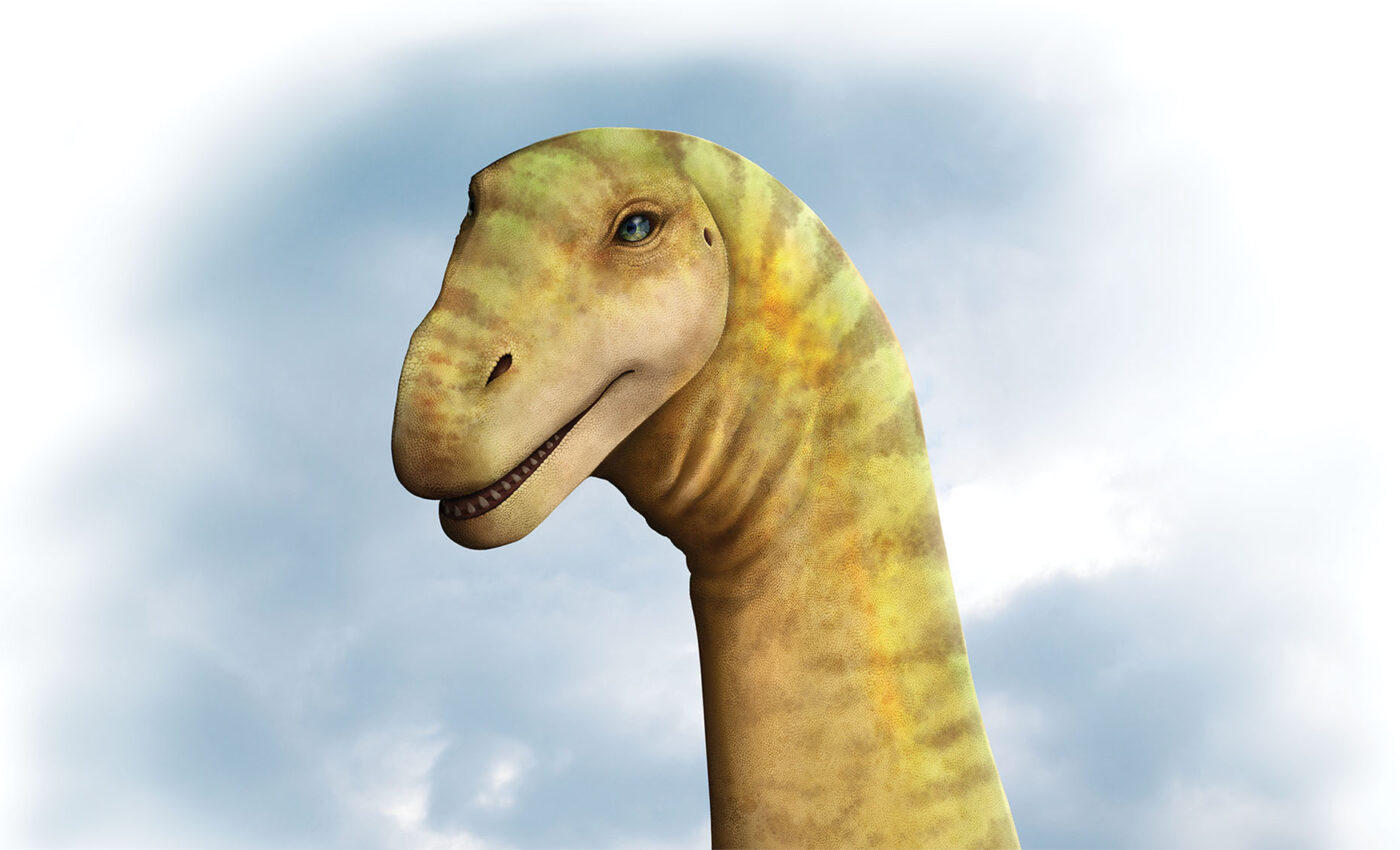 New species of sauropod dinosaur discovered
