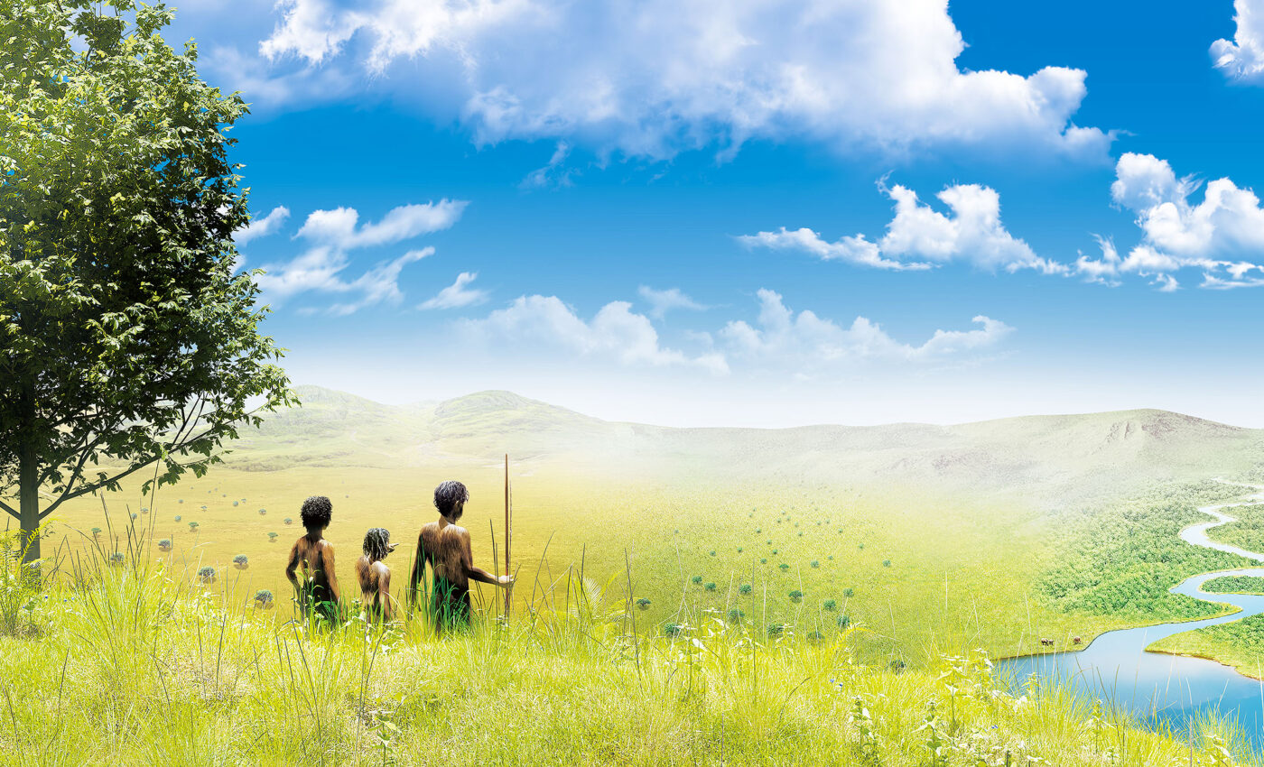 Human ancestors preferred mosaic landscapes with diverse ecosystems