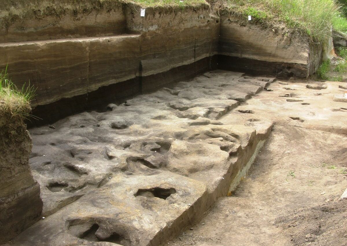 Earliest human footprints ever found are believed to be 300,000 years old