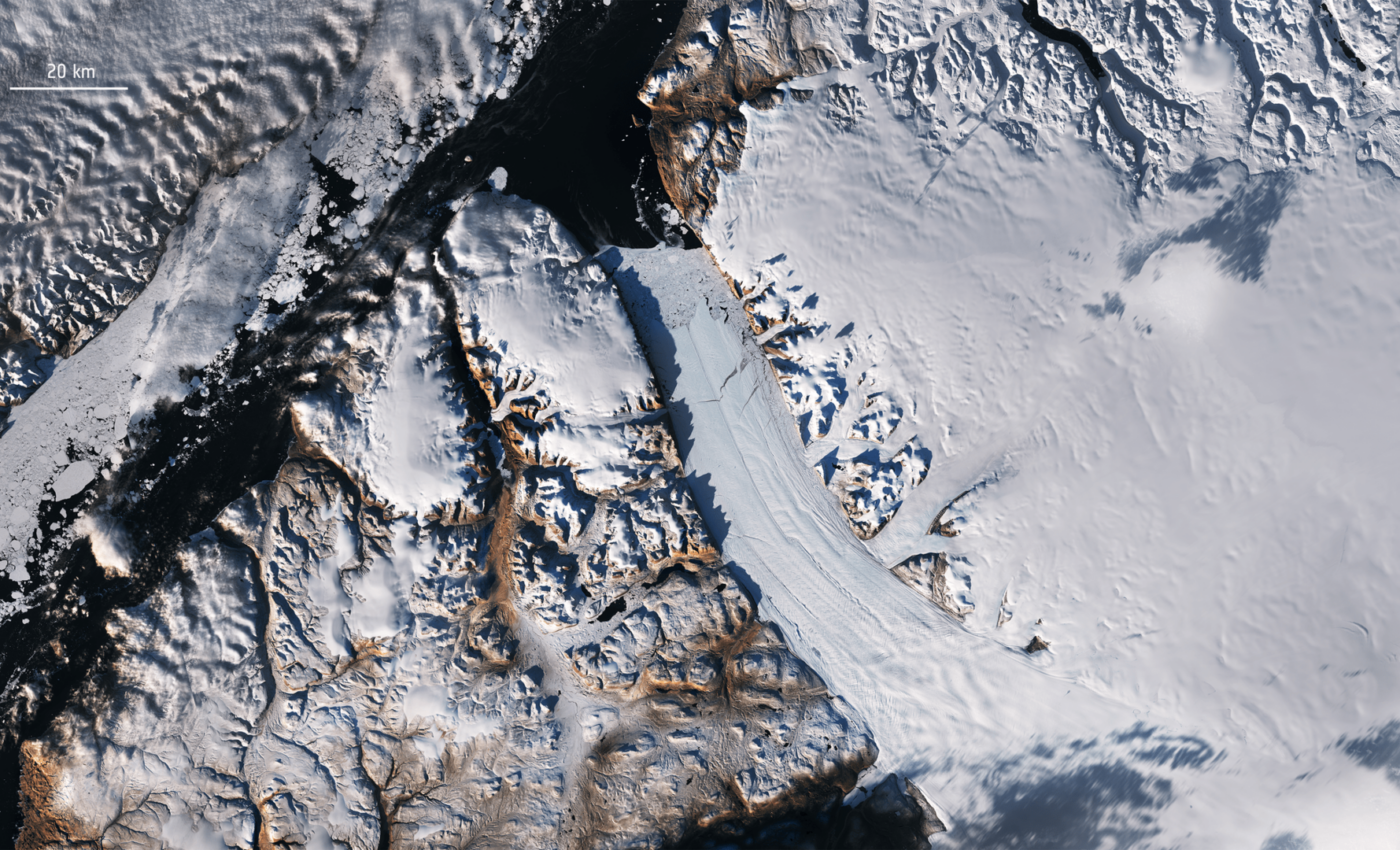 Arctic amplification is destabilizing the delicate balance of the ecosystem