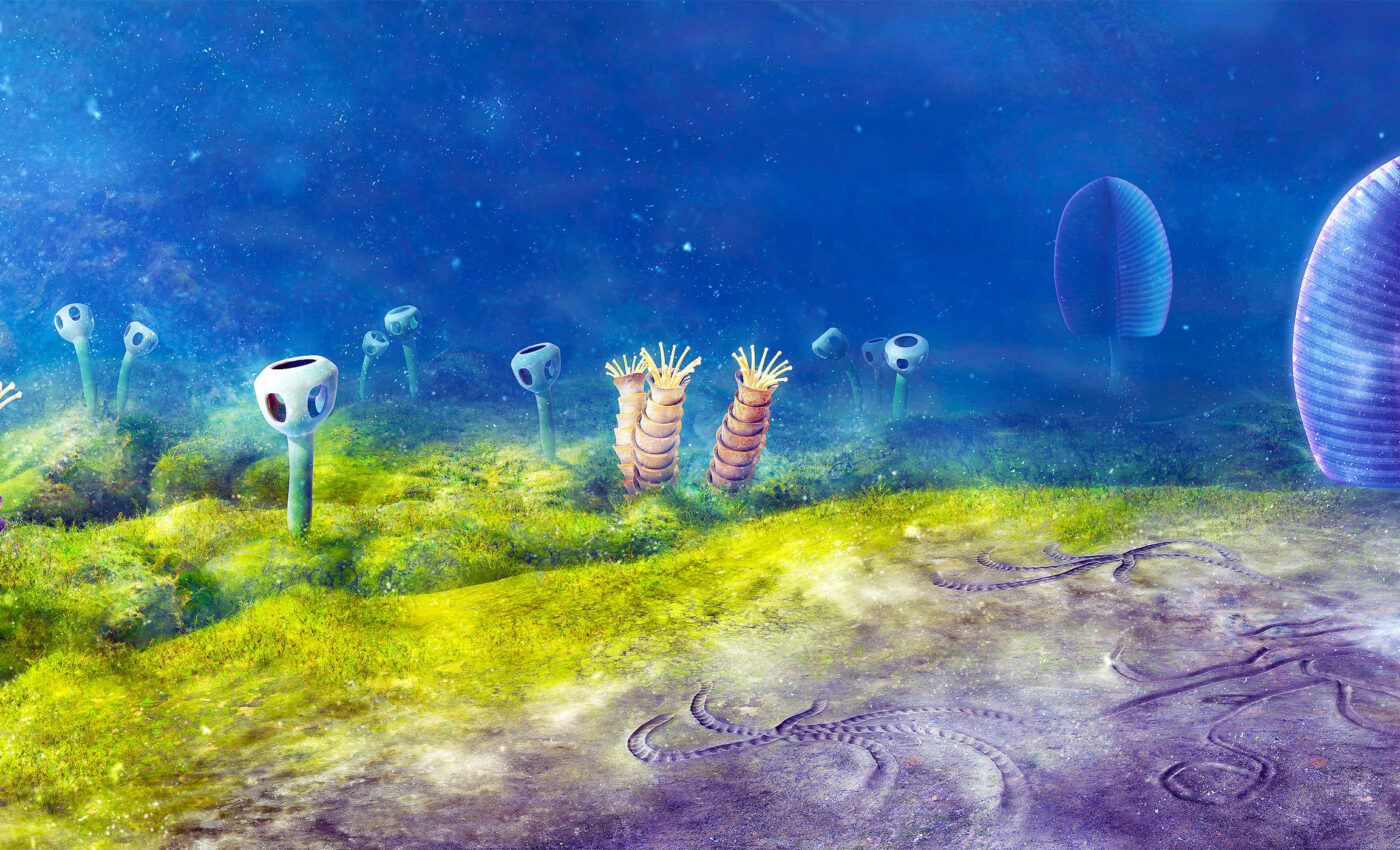 When did the first animals appear on Earth? We are now one step closer to knowing the answer