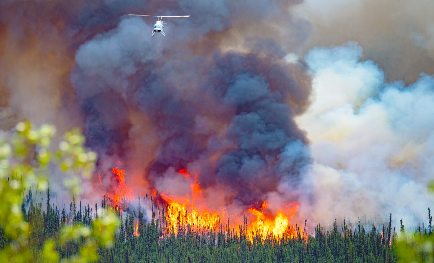 Air pollution from farming and wildfires is more likely to cause dementia