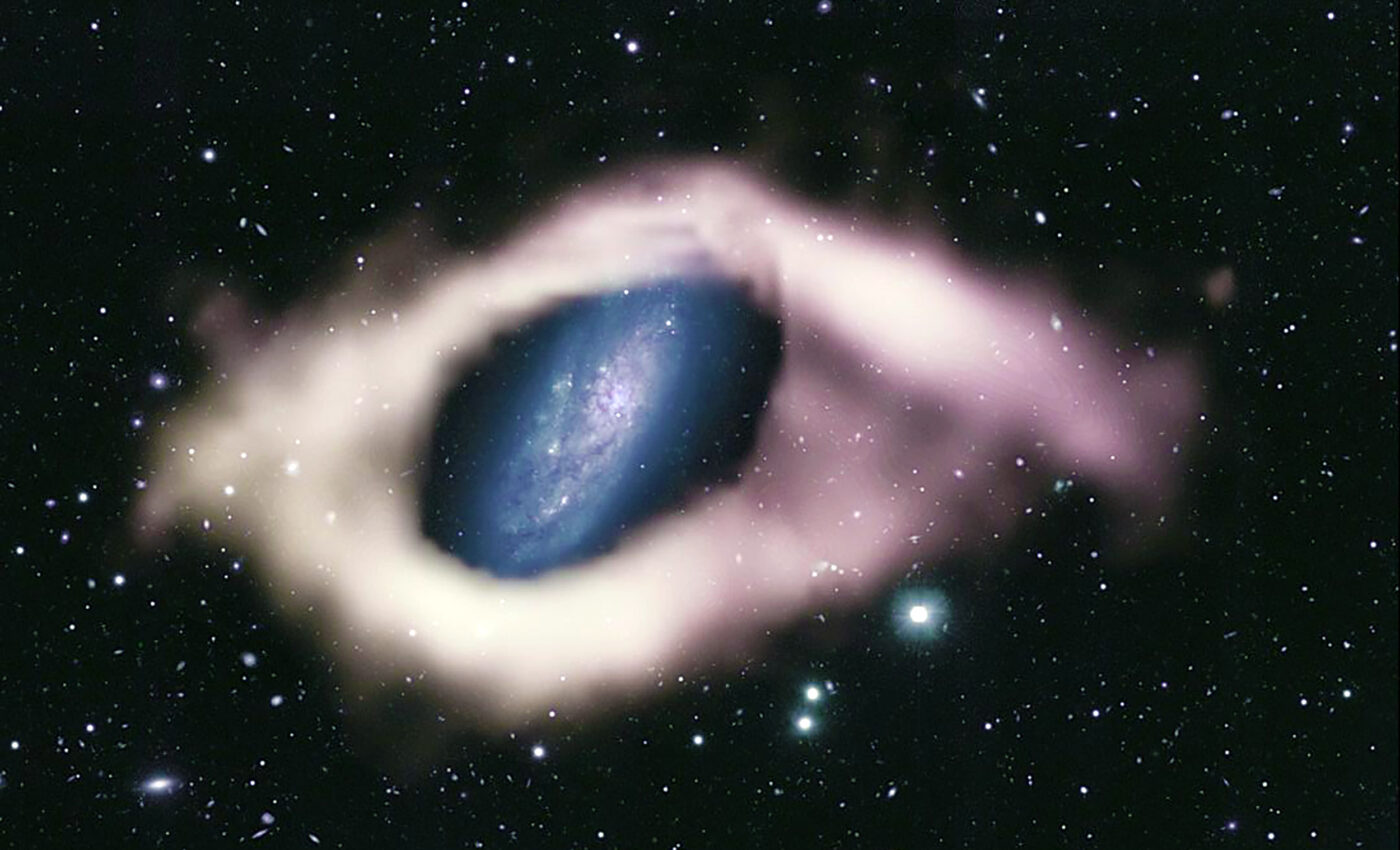 Rare and beautiful polar ring galaxies discovered by ASKAP