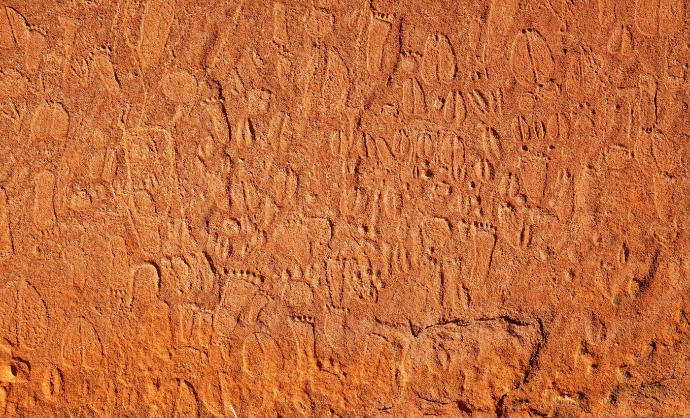 Stone age artists carved incredibly detailed animal tracks onto rocks