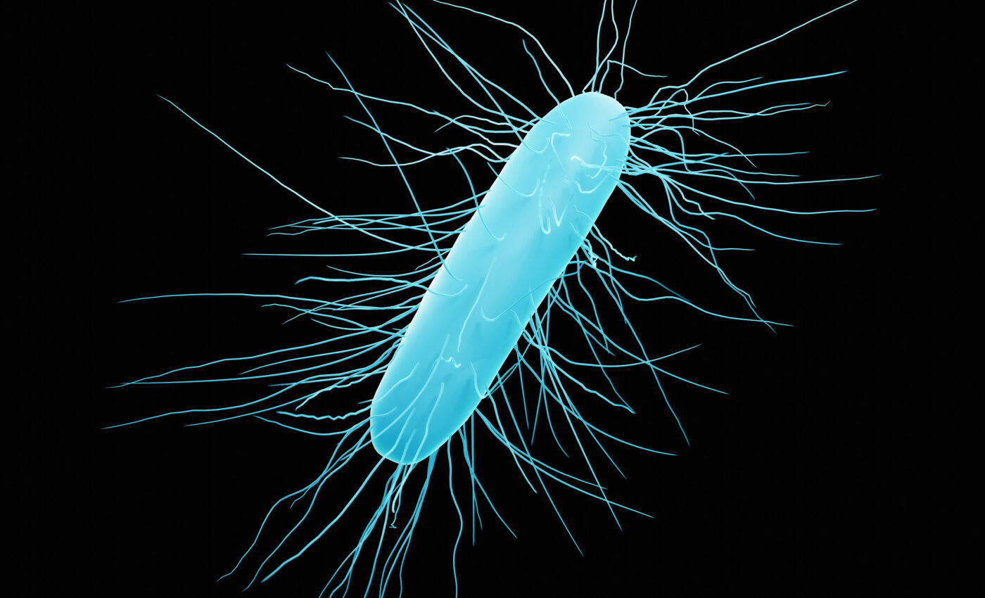 Deadly C. diff hospital infections have a mysterious trigger