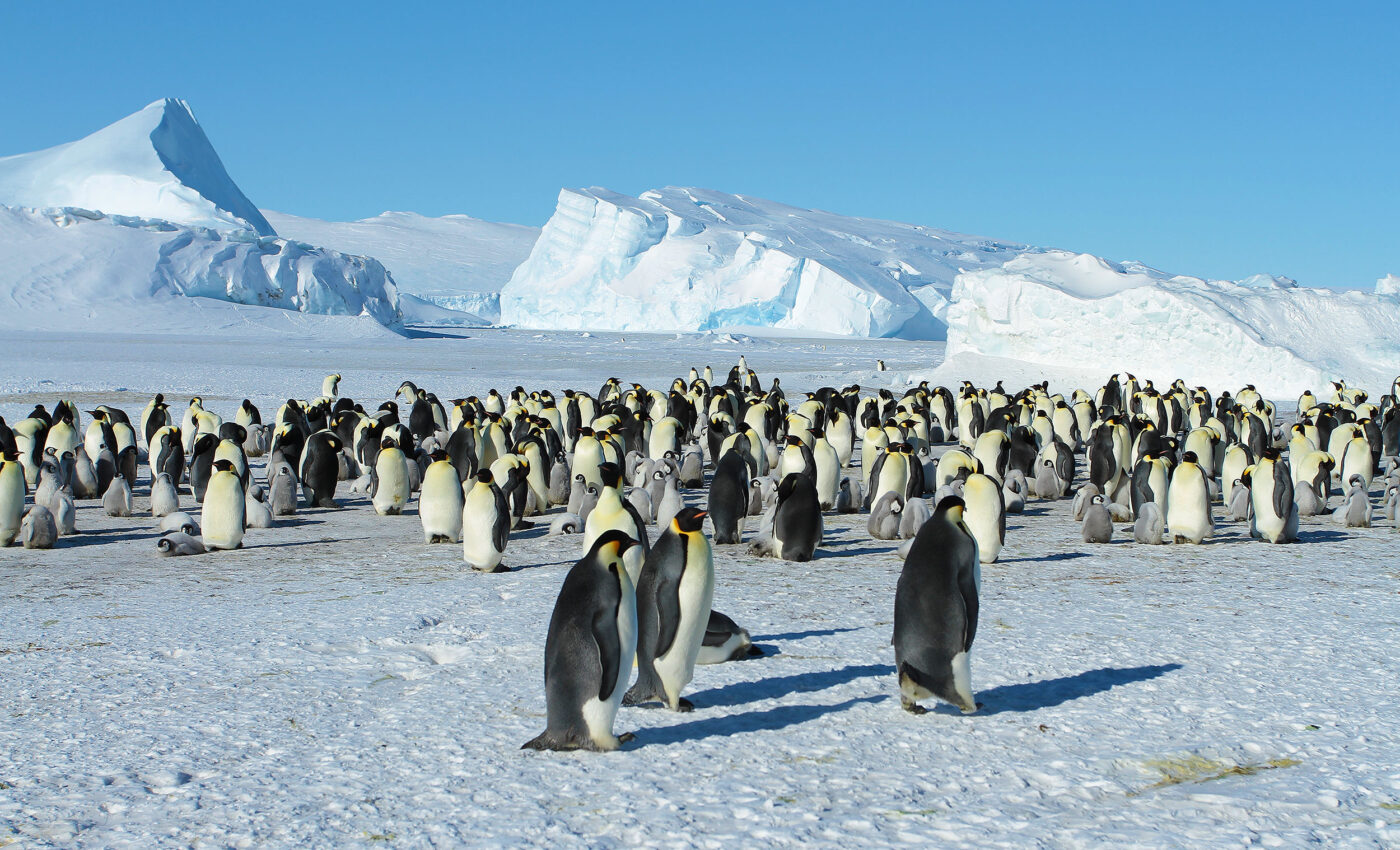Ancient river landscape lies beneath the East Antarctic Ice Sheet