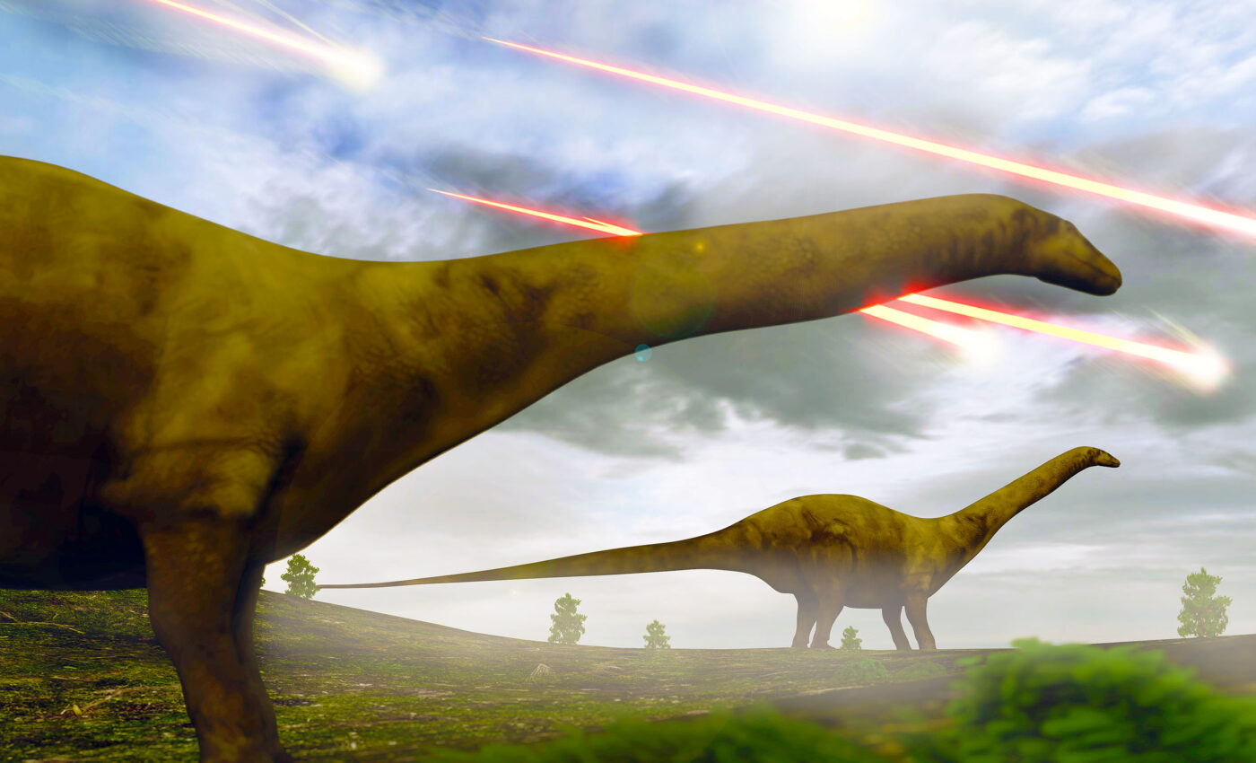 Dinosaur extinction caused by nuclear winter from asteroid impact