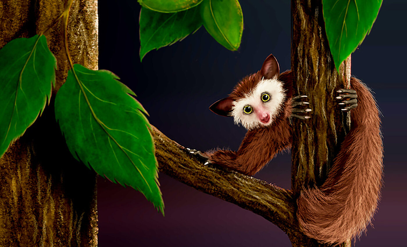 Ekgmowechashala: The last American primate before humans