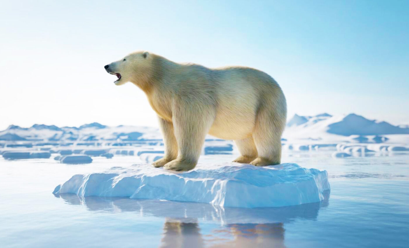 CO2 levels linked to cascading effects that last for millennia