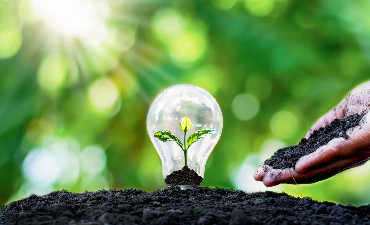 eSoil, or "Electronic soil," boosts crop growth by over 50%