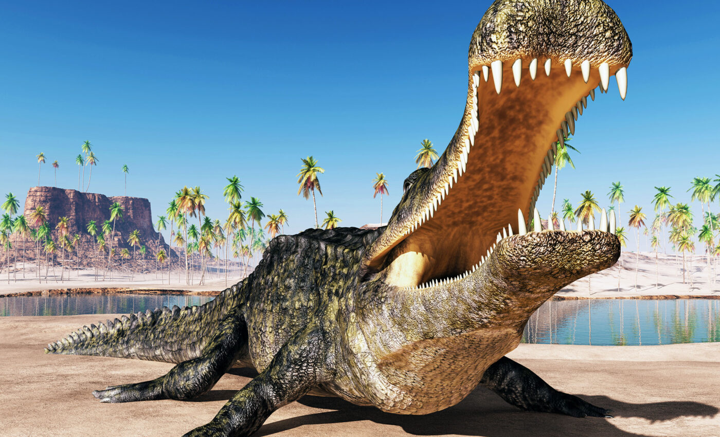 Rare "fossilized skin" discovery is 286 million years old, belongs to an unknown creature