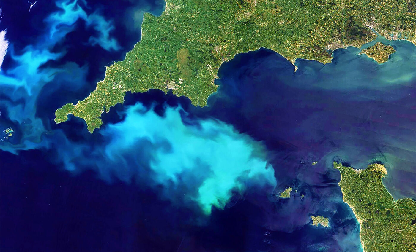 Our oceans are quickly losing their ability to support fish populations