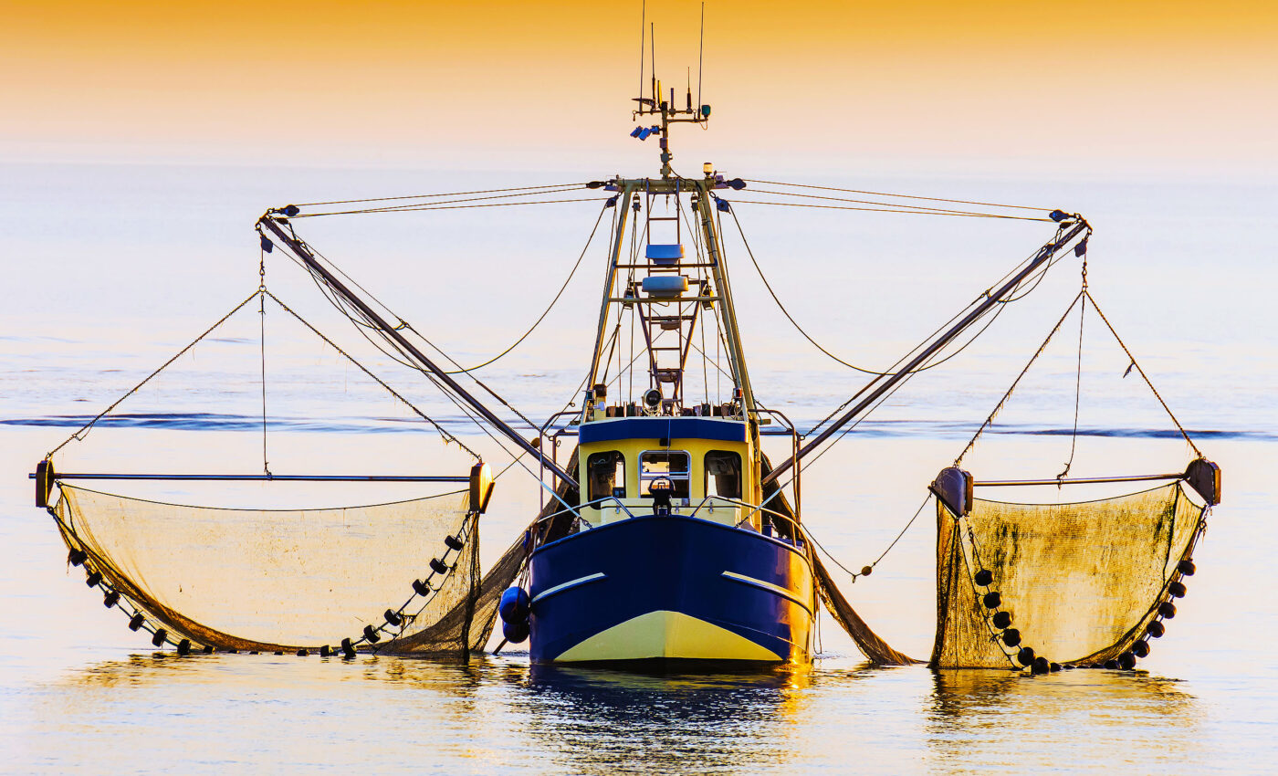 Common fishing method of bottom trawling harms both the ocean and the climate