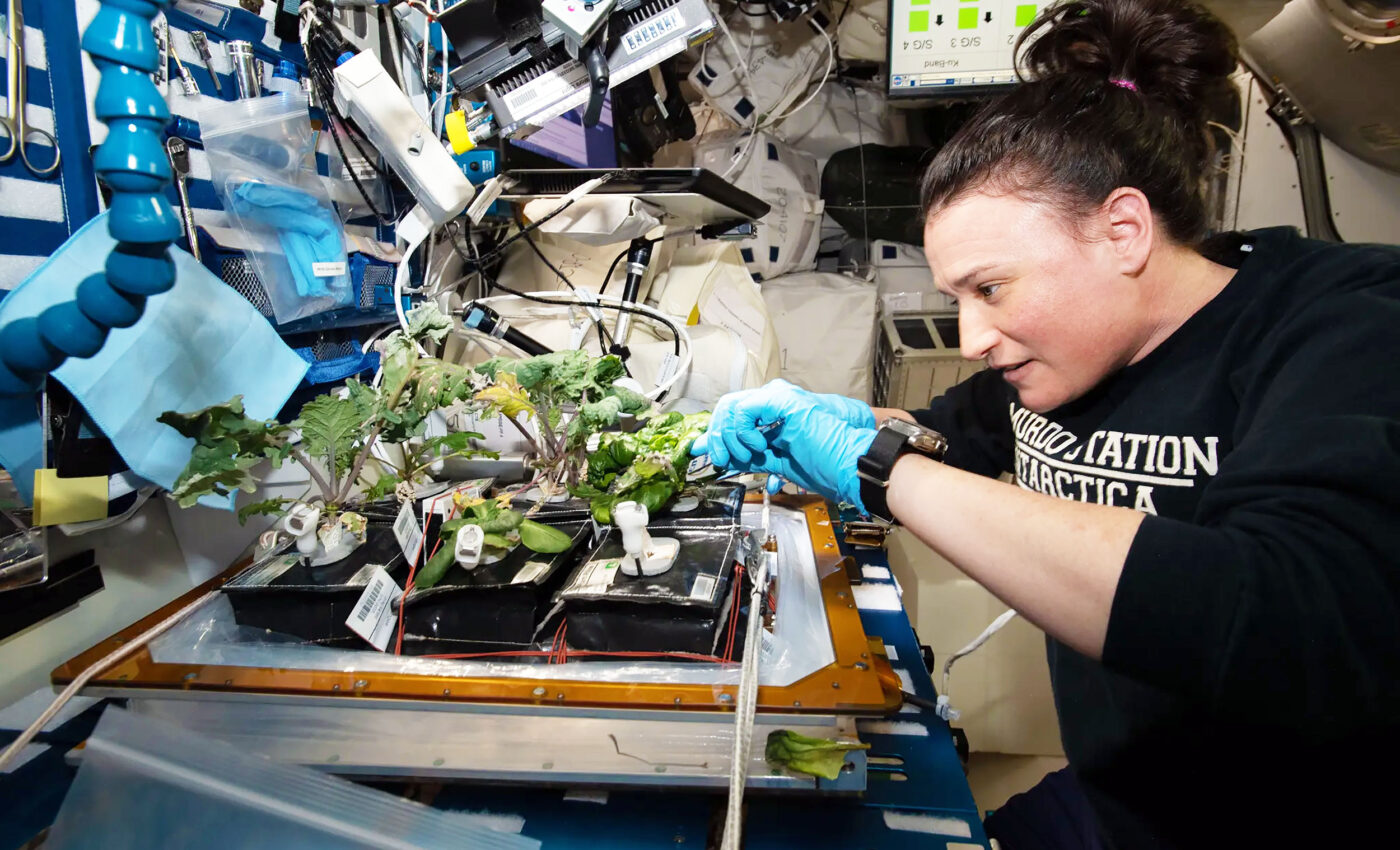 Eating lettuce and salads in space is a bad idea, according to a new study