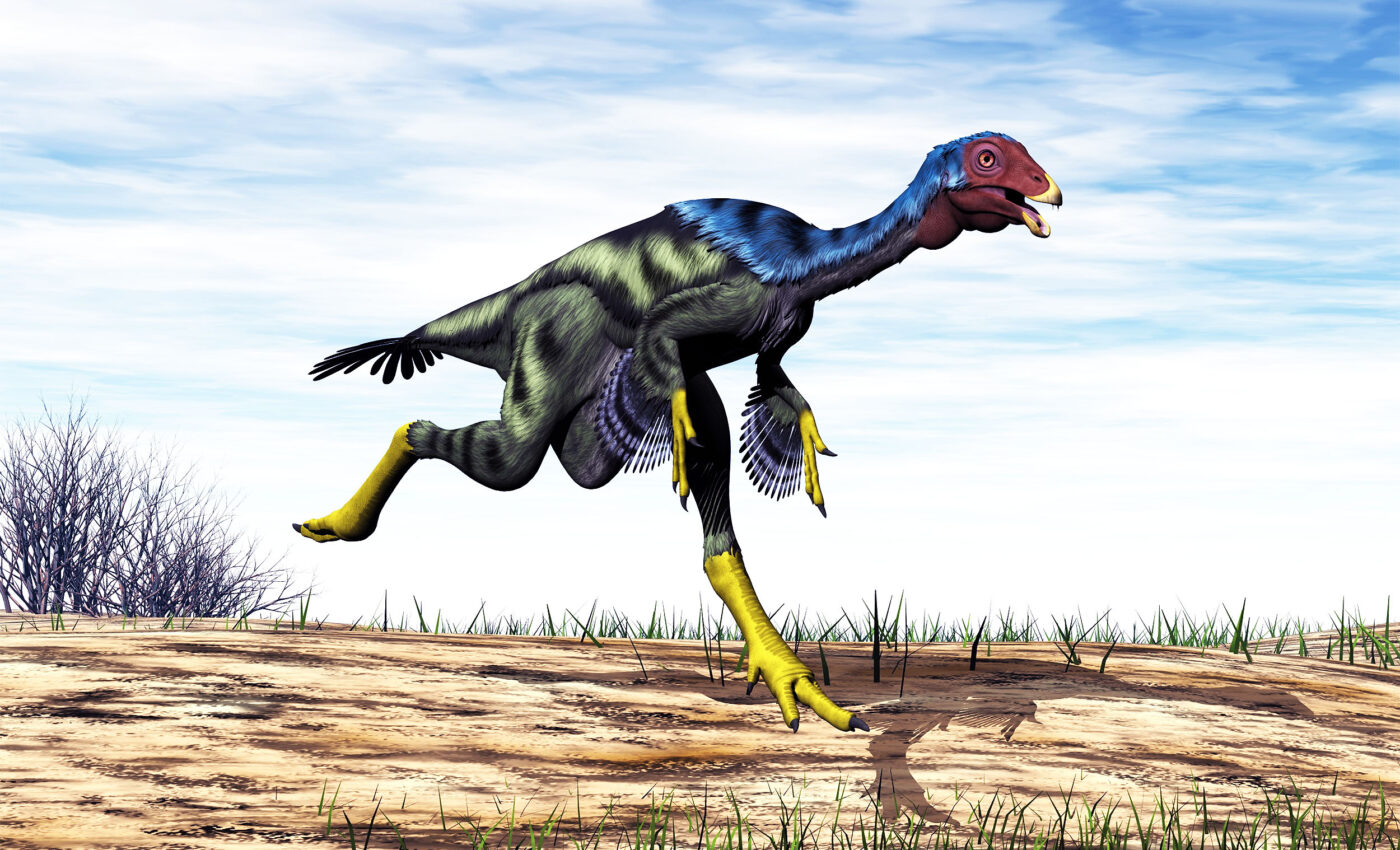 Robopteryx: Dinosaur feather secrets revealed by a robot dinosaur