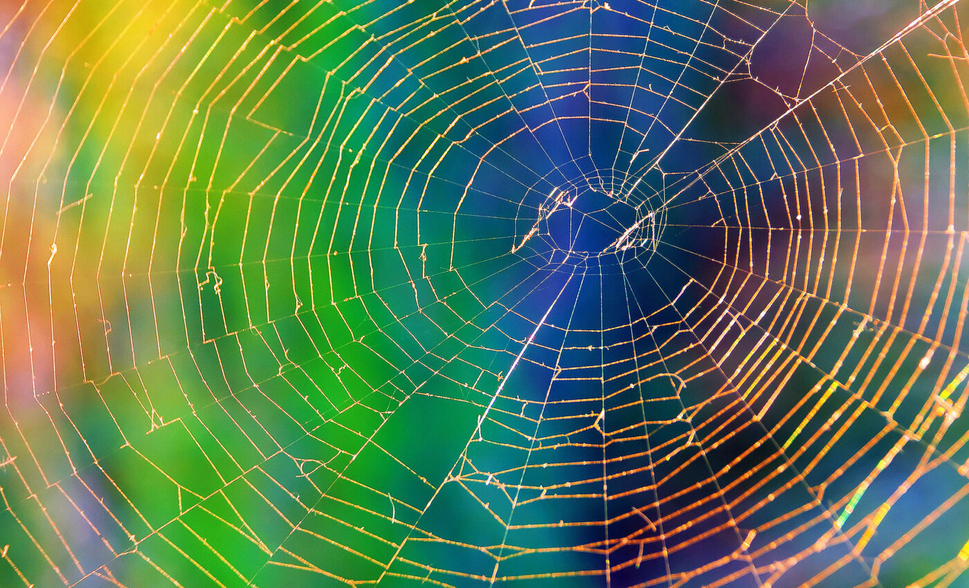 New artificial spider silk is indistinguishable from natural silk