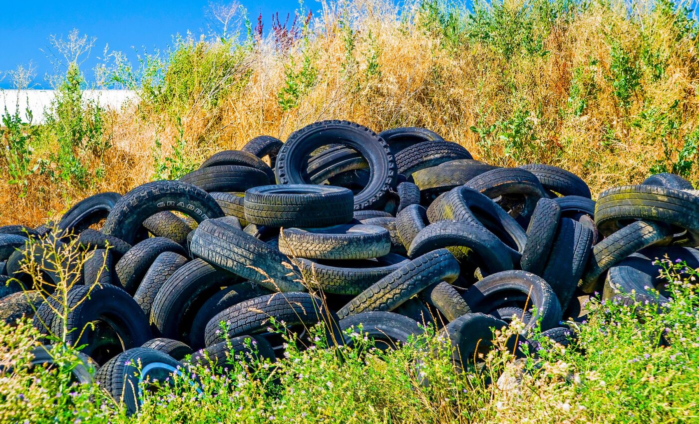Car tires shed pollutants that are especially toxic for humans and wildlife