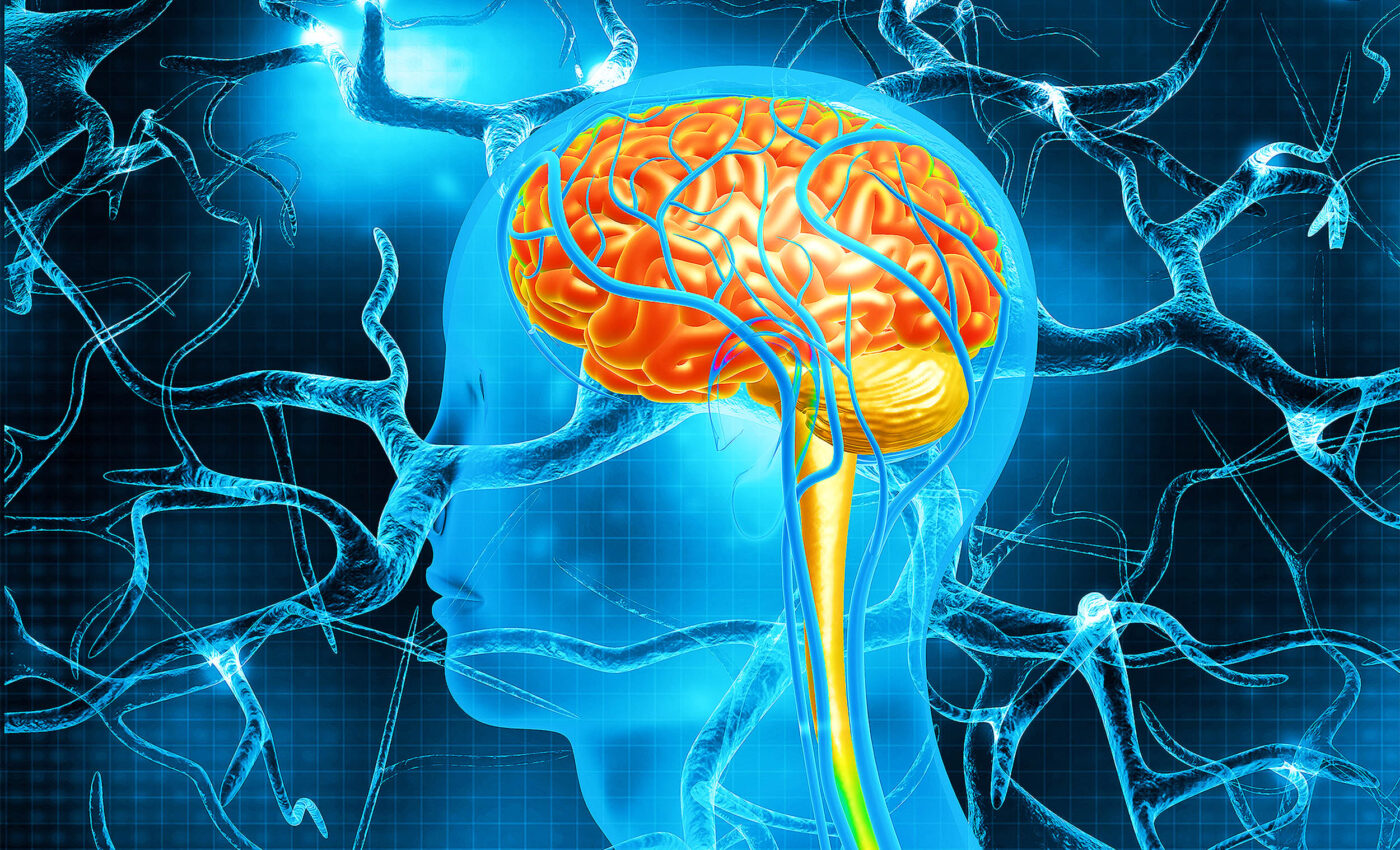 Mindreading: Neurons can somehow "predict" human speech before we say a word