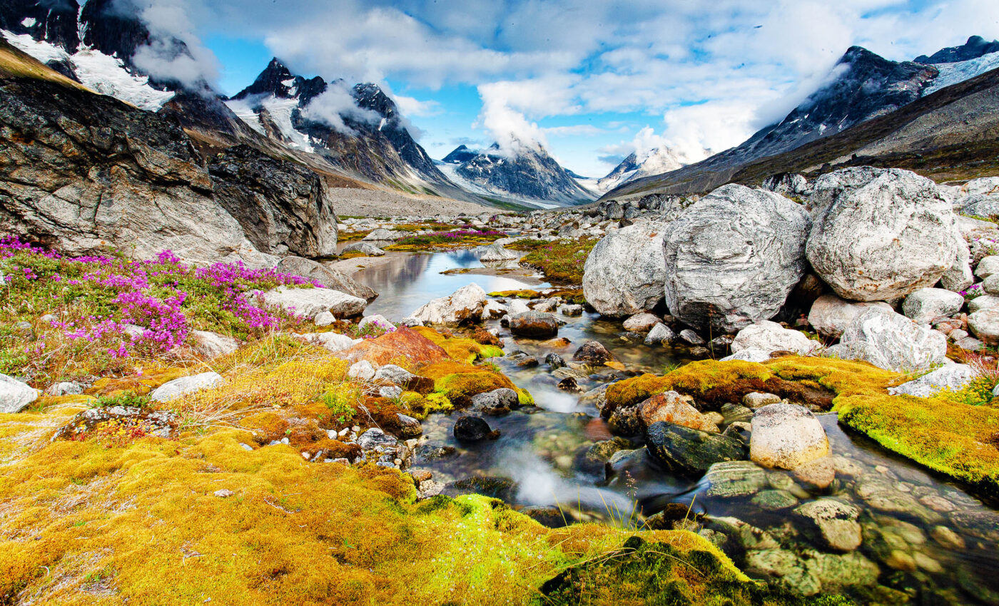 Greenland absorbs more methane than it emits, surprising scientists