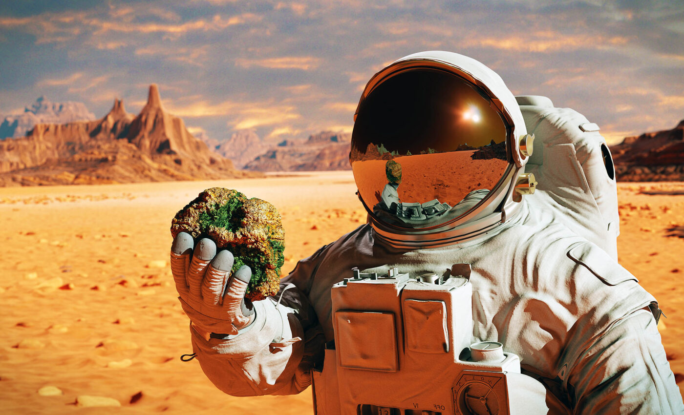 Astronauts’ microbiome health is crucial to future space exploration
