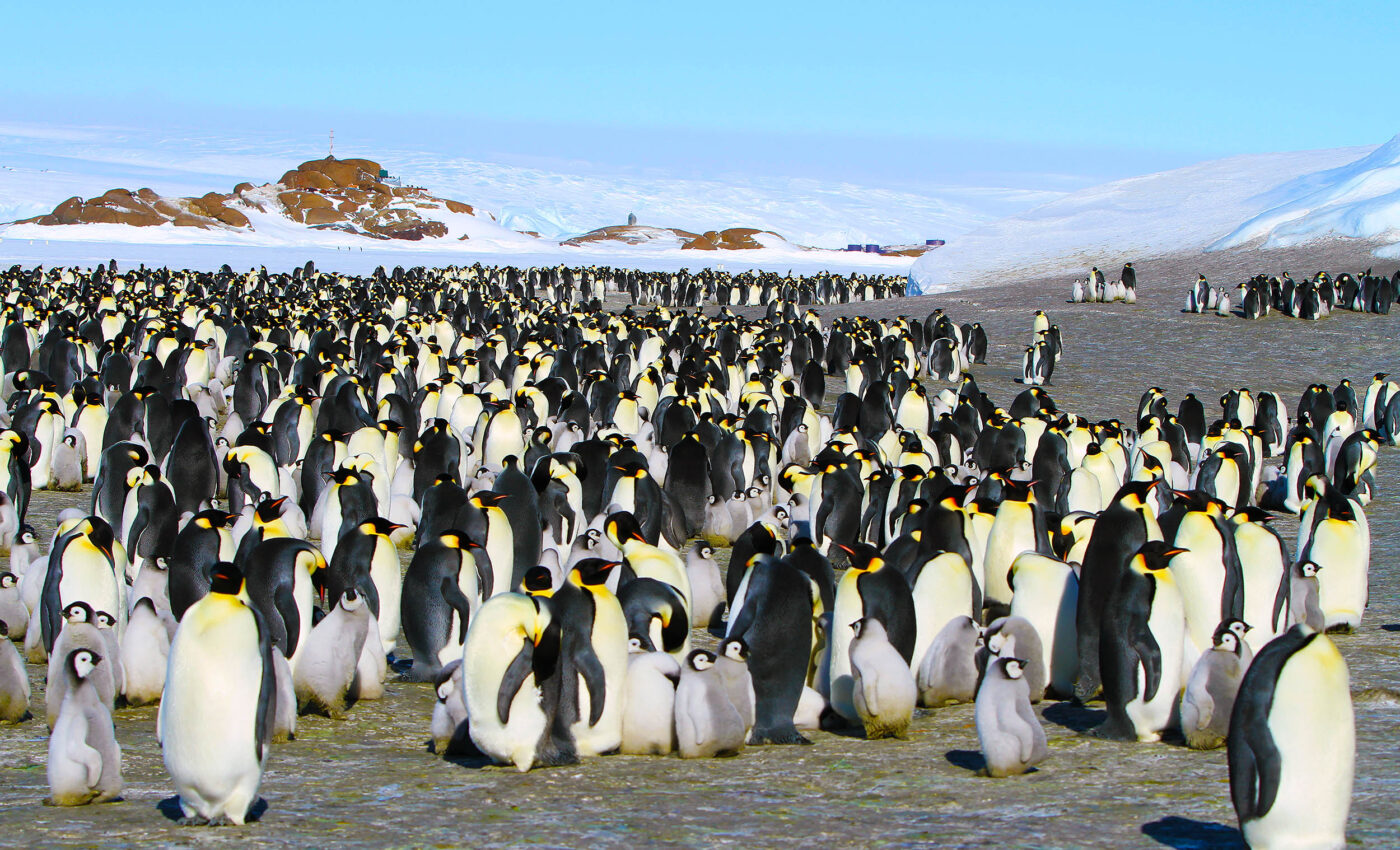 East Antarctica, once thought to be stable, is on the verge of collapse