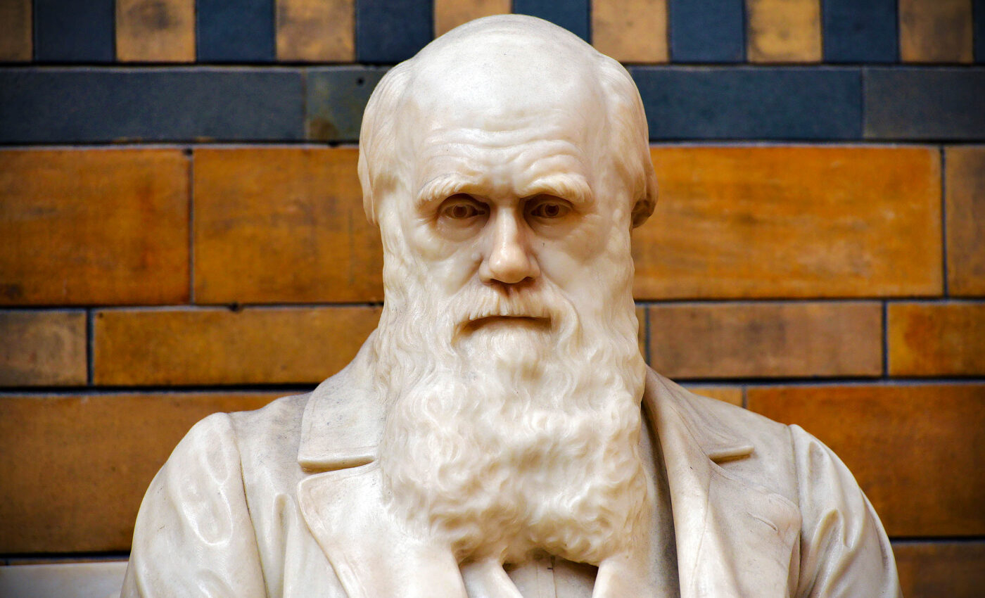 Charles Darwin's complete research library published for the first time