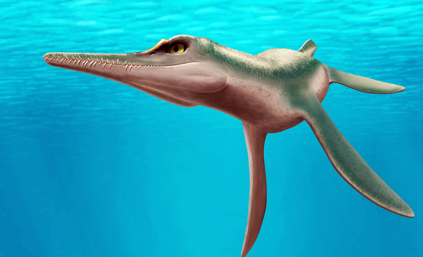 Ancient marine predator, Unktaheela specta, discovered in the American Midwest
