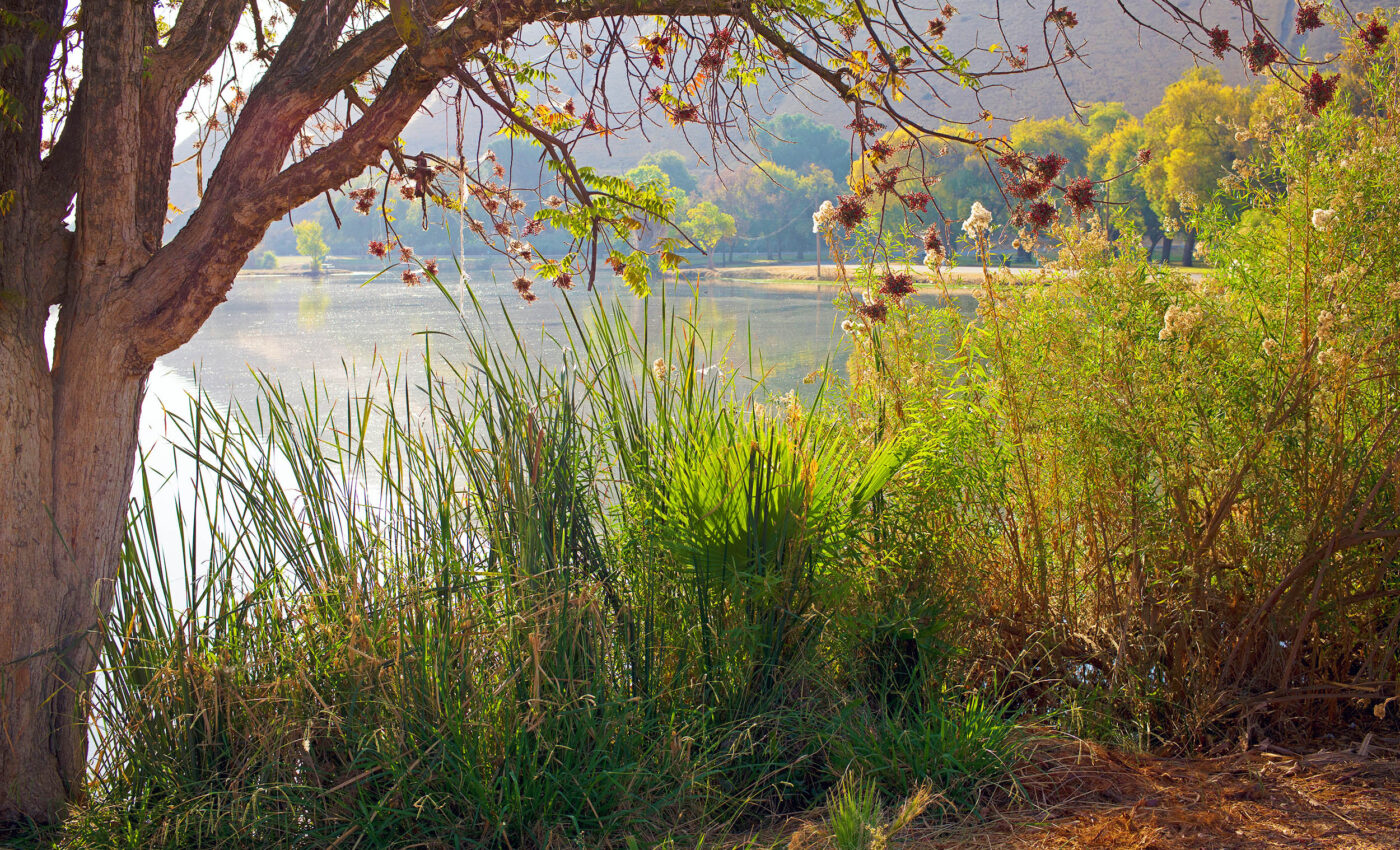 Tulare Lake has returned in California after completely vanishing for 130 years