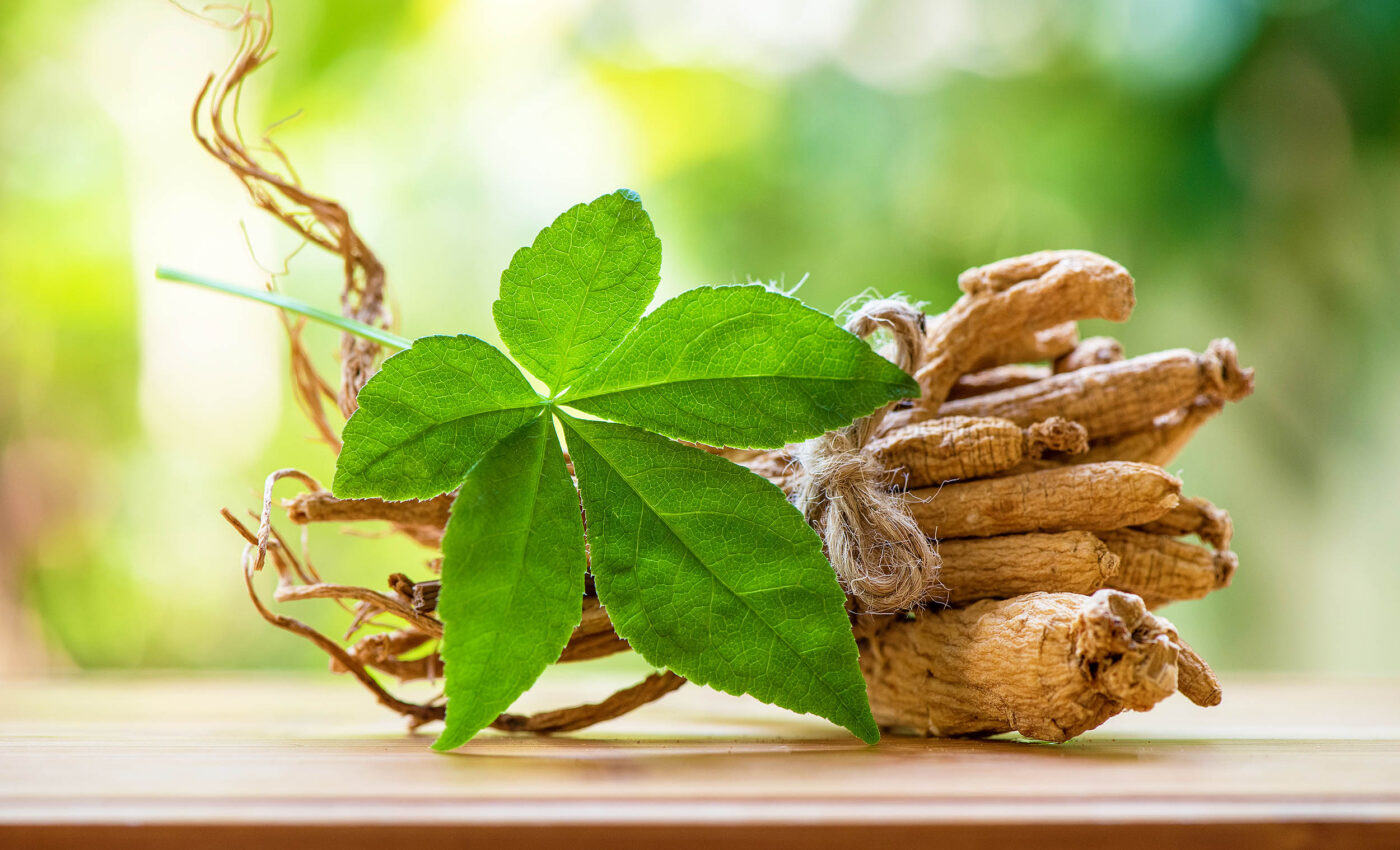 Ginseng improves exercise performance and helps body quickly recover