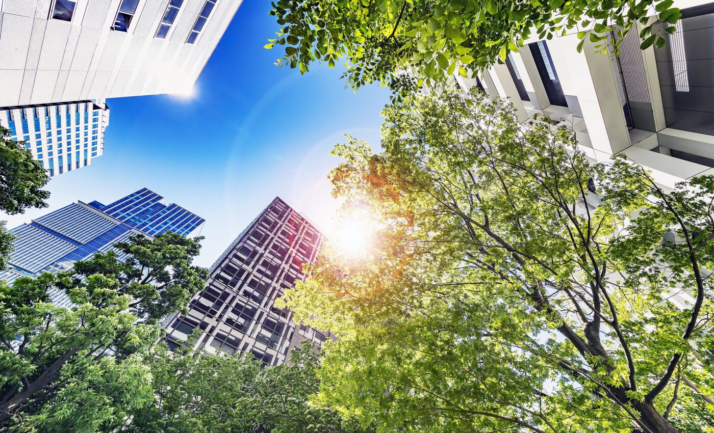 City residents have better mental health with access to green space