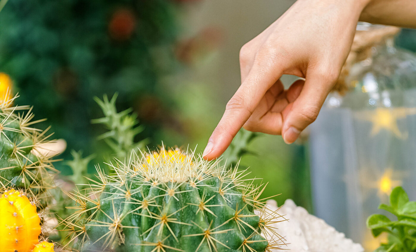 Understanding human touch at the molecular basis