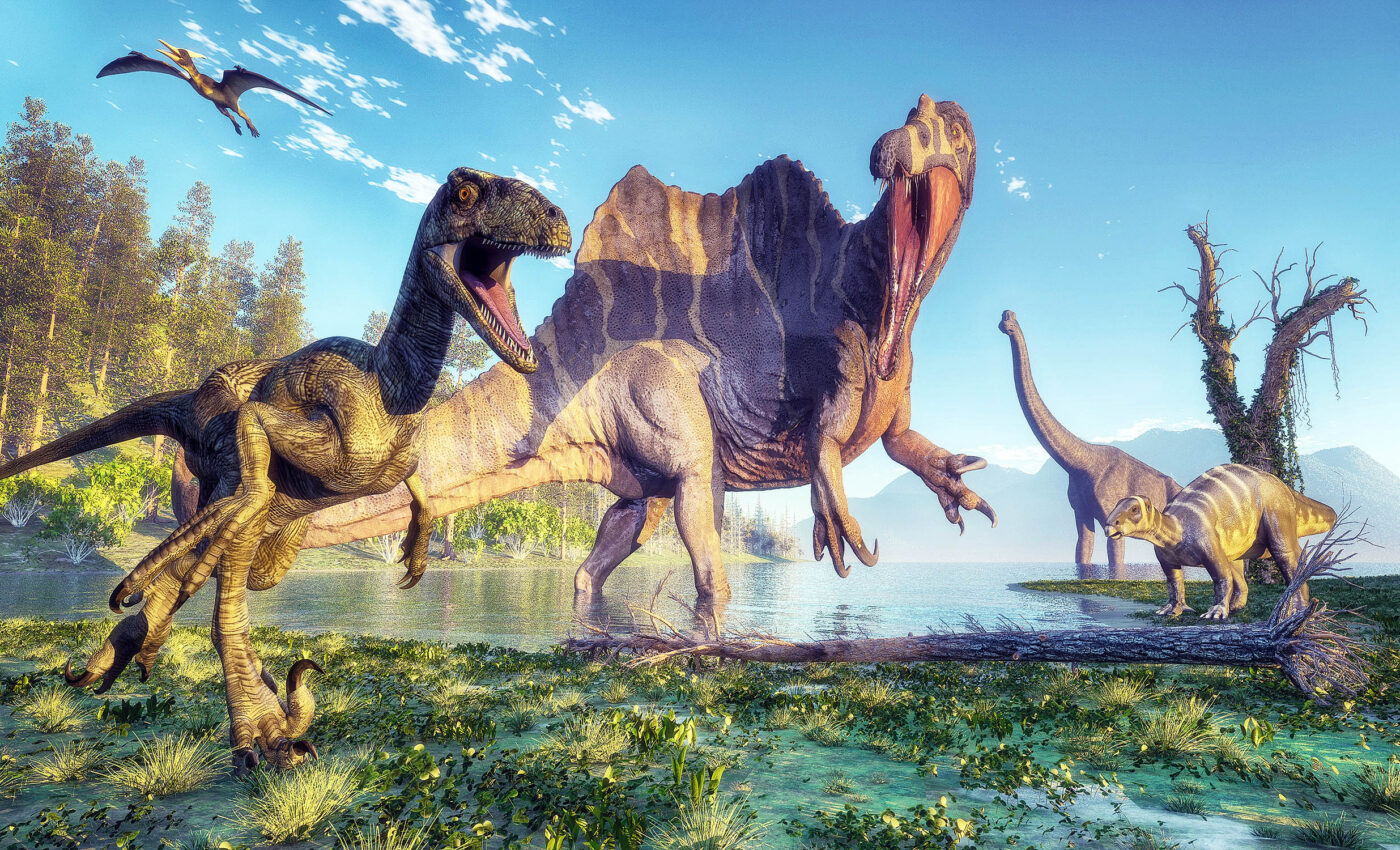 Spinosaurus waded into the water to ambush fish of any size