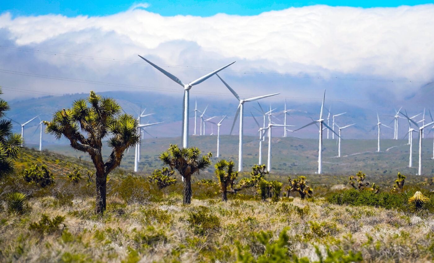 Clean energy and biodiversity engaging in a delicate balancing act