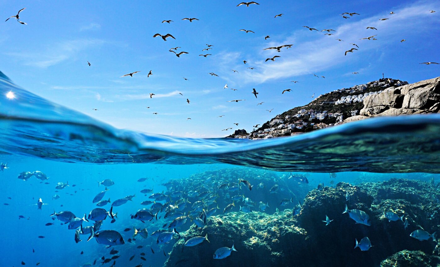 Global sea levels spiked dramatically in 2023