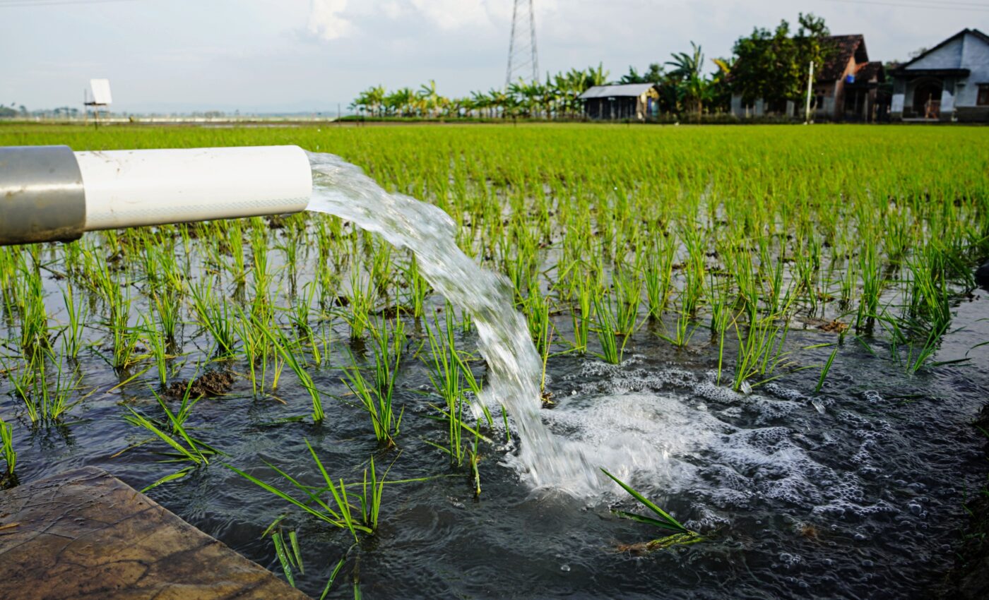 California's farms have a good chance of navigating the water crisis
