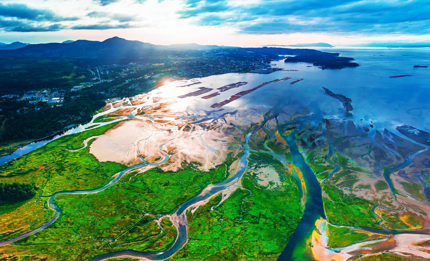 Humans are rapidly transforming carbon-storing estuaries into cities