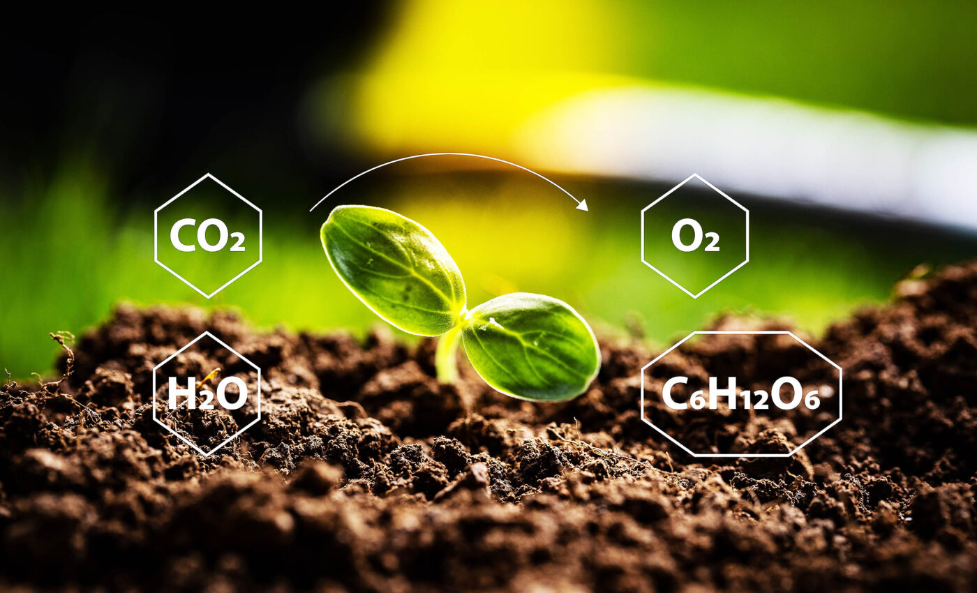 Hidden pool of global soil carbon alters climate change models