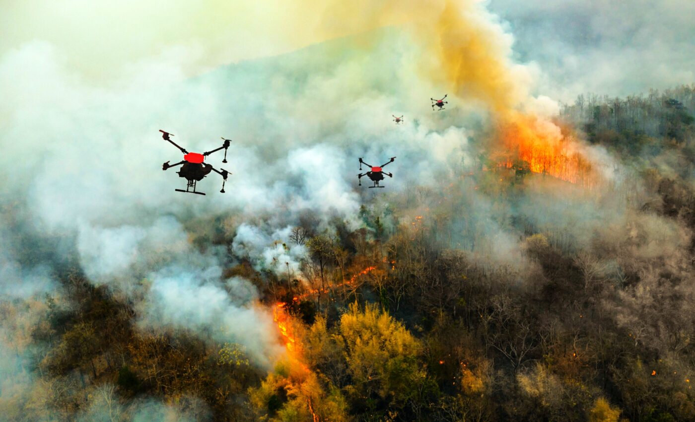 Increased CO2 is making wildfires more frequent by making plants grow faster