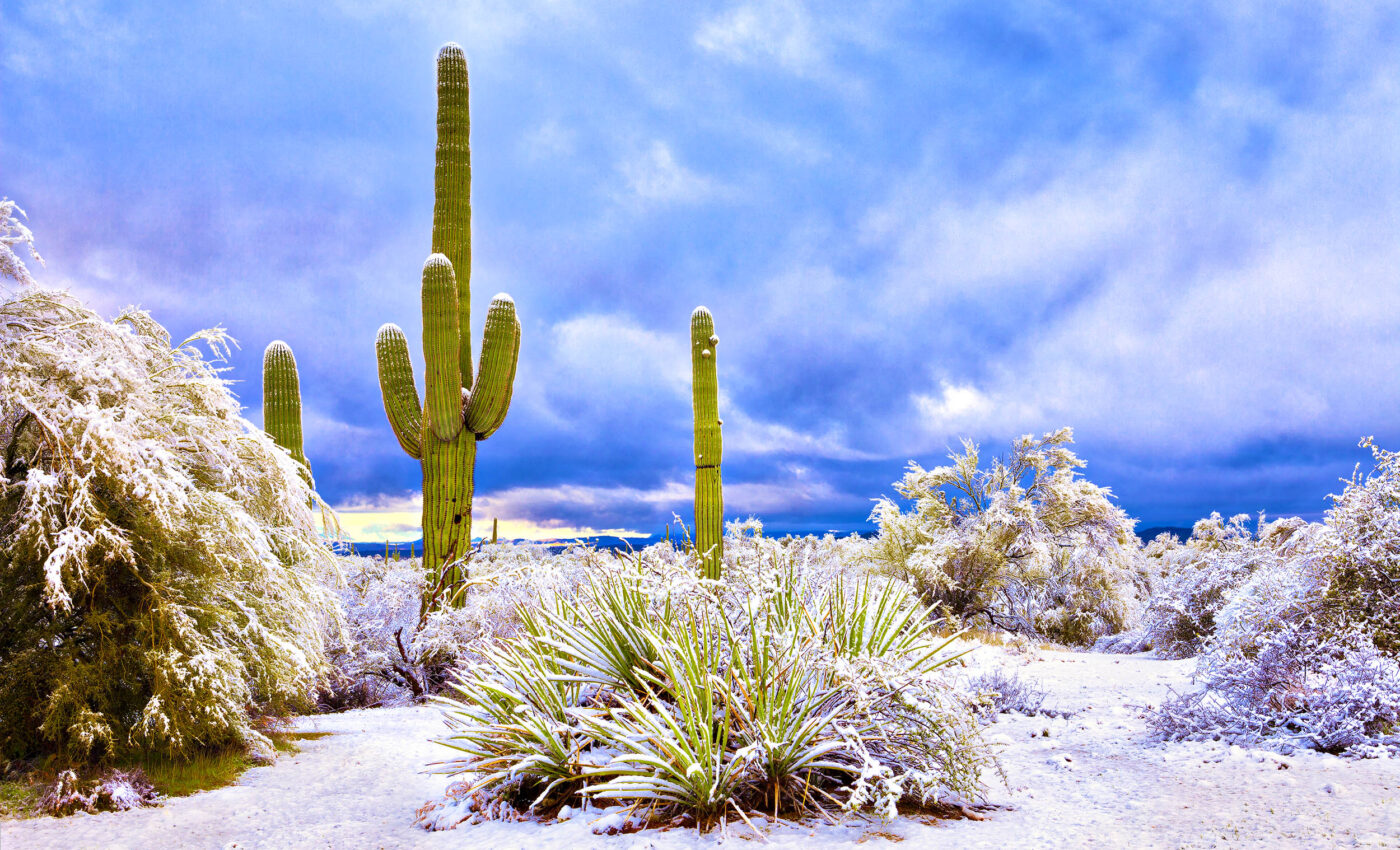 How extreme cold events fit into the global warming model