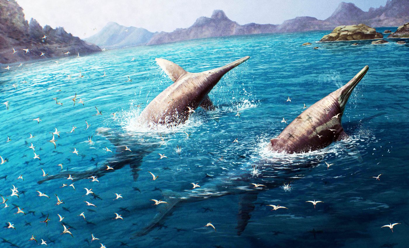 Largest known marine reptile discovered is a giant ichthyosaur
