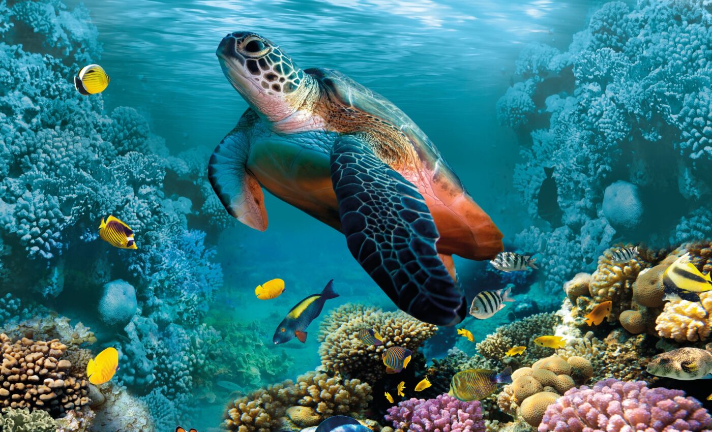 Marine microbes can tell us about global changes in the ocean