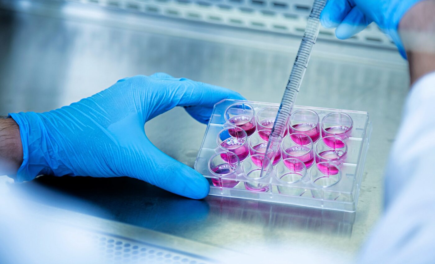 Reprogramming the immune system to attack cancer cells