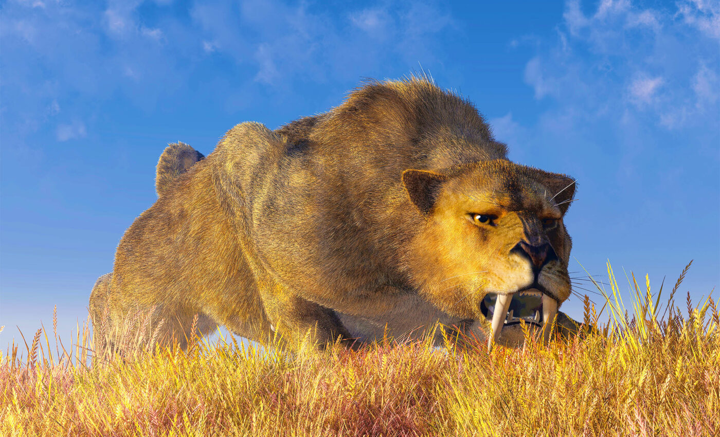 Young saber-toothed cats had double fangs, but for good reason