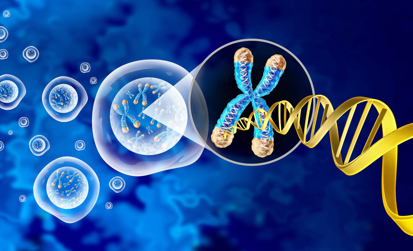 Discrimination speeds up aging at the molecular level