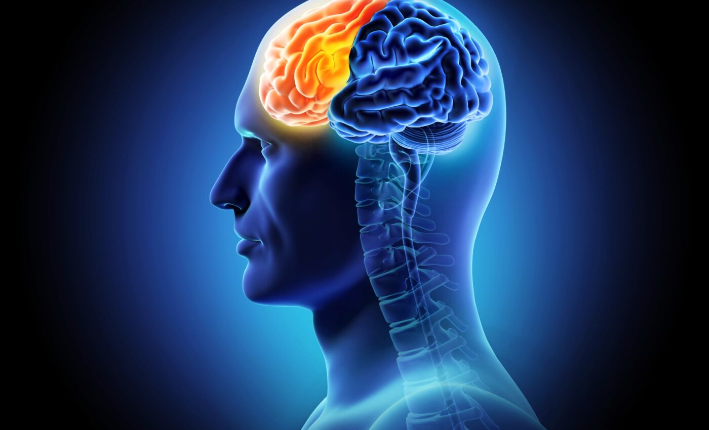 Some brain cells age faster and are more common in Alzheimer's