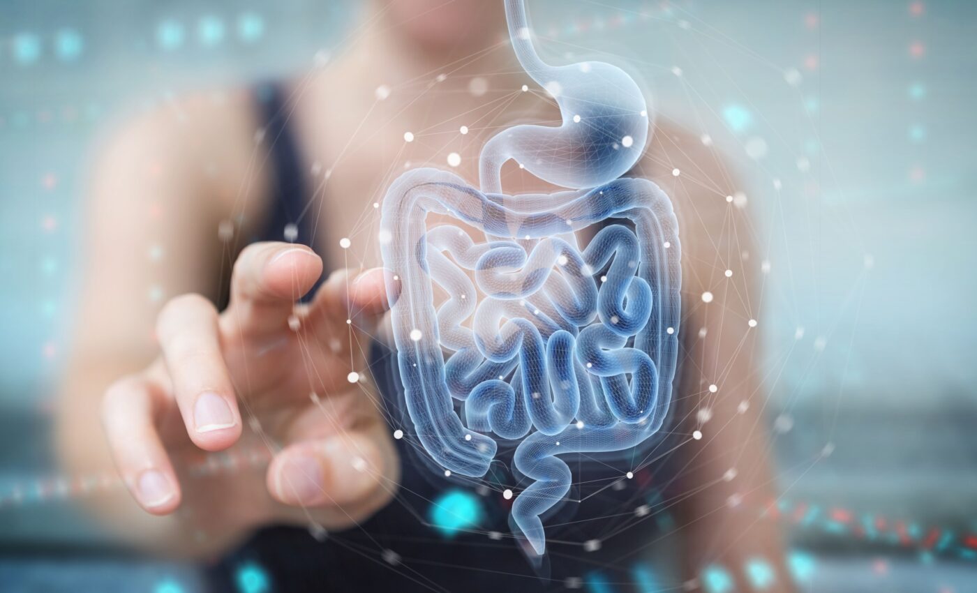 Gut bacteria influence our social behavior and sense of fairness