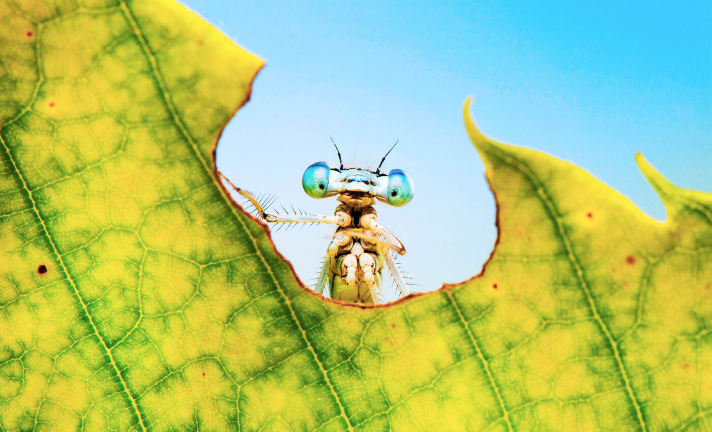 New rule of biology: Instability is key to evolution and life