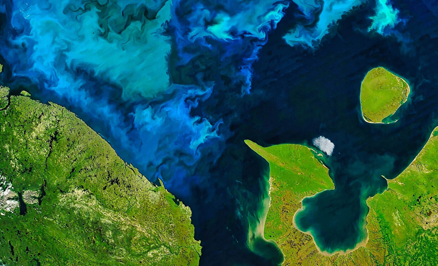 Arctic heatwaves have complex effects on phytoplankton