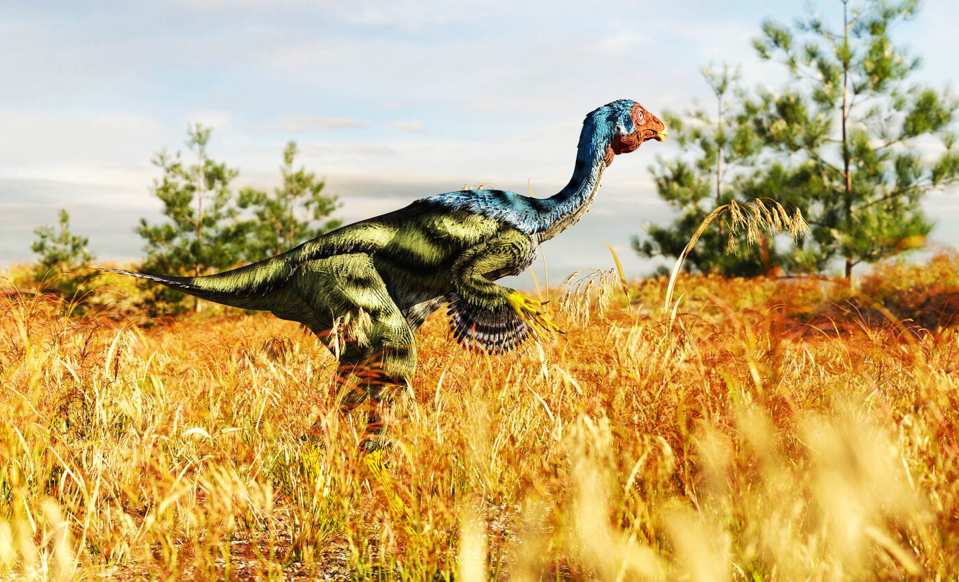 Feathered dinosaurs had scaly skin like modern-day lizards